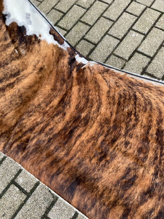 Image 1 of Original Low Numbered Cassina Le Corbusier Lc4 Pony Skin