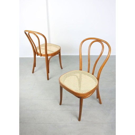 Paire de chaises vintage n° 218 de Michael Thonet