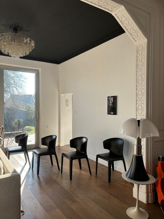 Image 1 of 6x Chaises Cassina Hola 367 en cuir