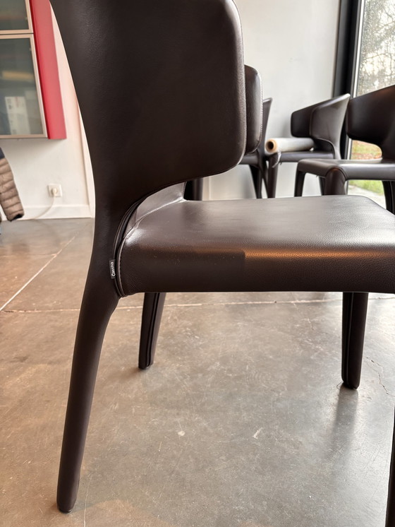 Image 1 of 6x Chaises Cassina Hola 367 en cuir