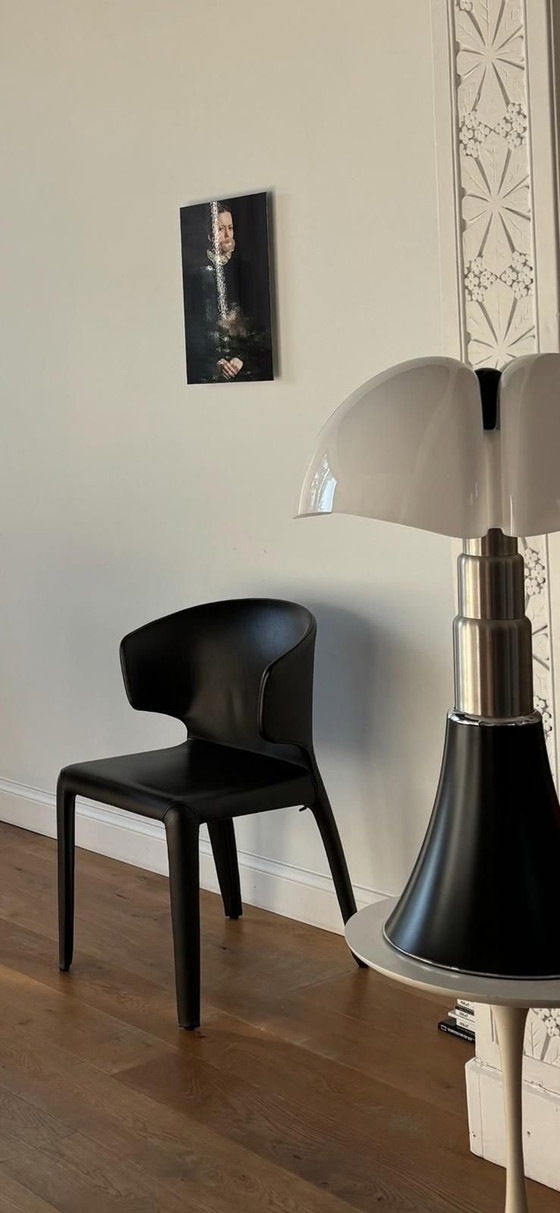 Image 1 of 6x Chaises Cassina Hola 367 en cuir