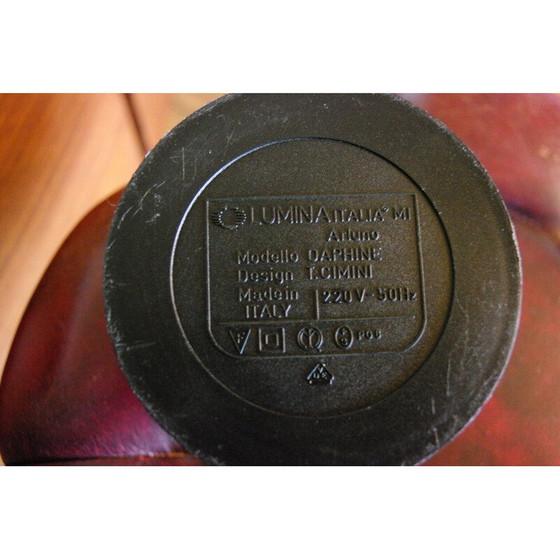 Image 1 of Lampadaire vintage Terra Daphine par Tommasso Cimini, 1970