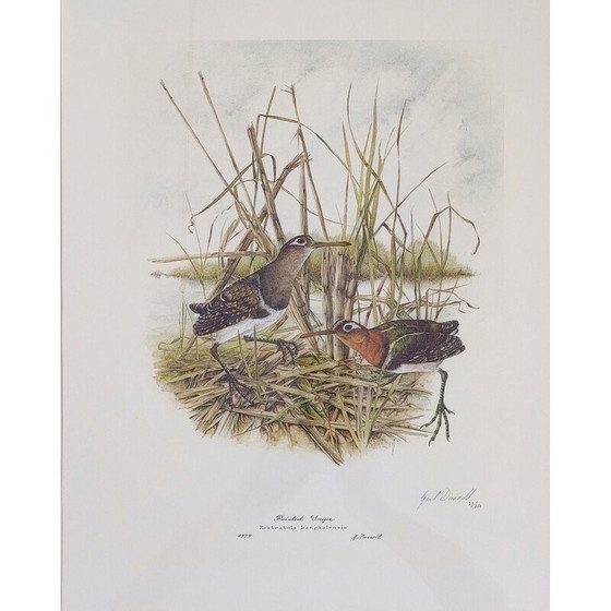 Image 1 of Paire de lithographies numérotées de Gail Denise Darroll, 1979