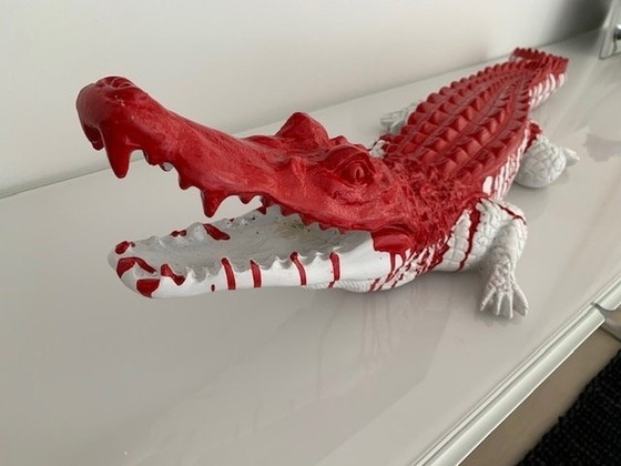 Image 1 of Fraise Crocodile Xxl