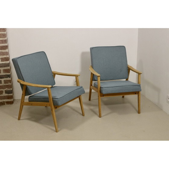 Image 1 of Paire de fauteuils vintage en bois de hêtre, 1960