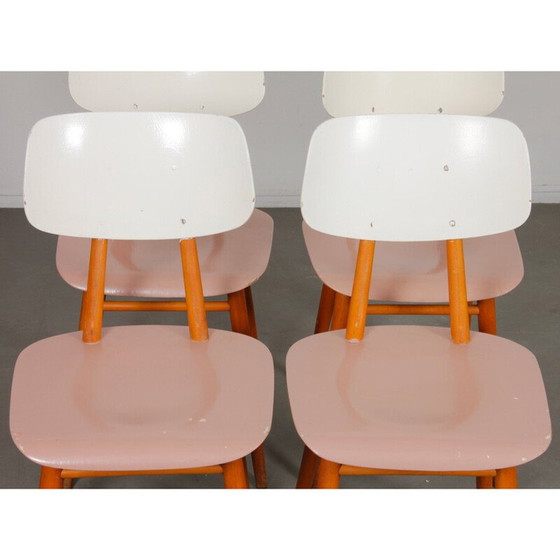 Image 1 of Ensemble de 4 chaises en bois vintage pour Ton, Tchécoslovaquie 1960