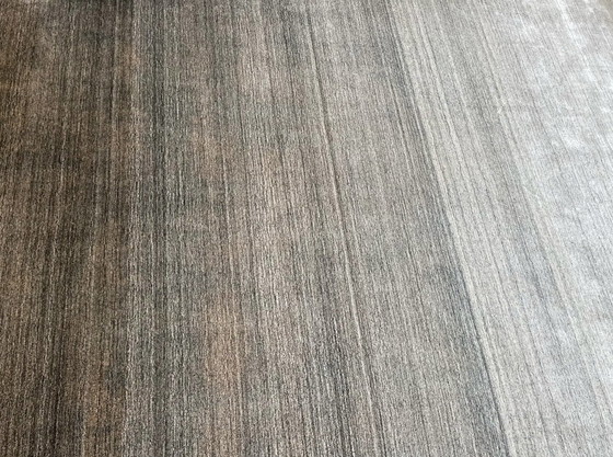 Image 1 of Leolux Evidence Milan Carpet Grey 2X3