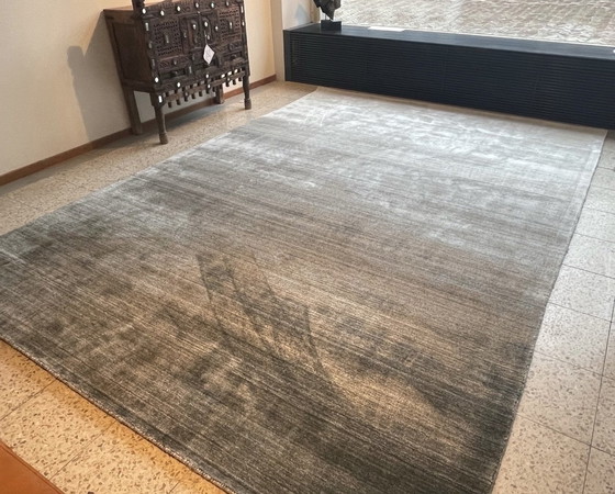 Image 1 of Leolux Evidence Milan Carpet Grey 2X3