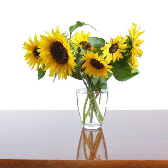 Image 1 of Longue table basse vintage en acajou et chêne, Tchécoslovaquie 1960