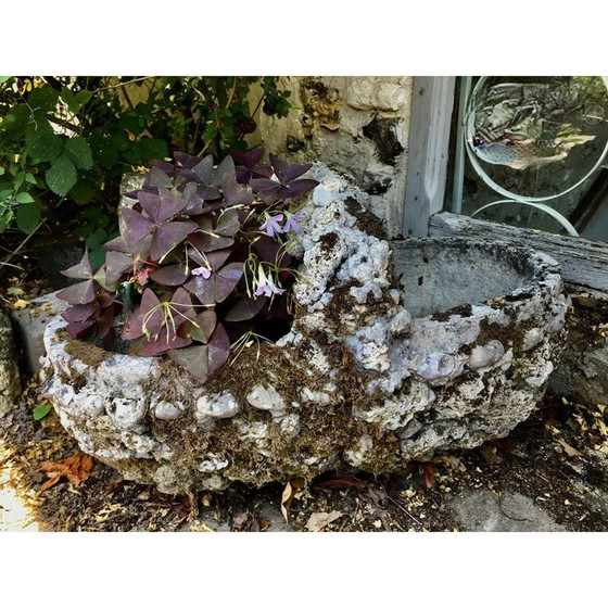 Image 1 of Jardinière vintage en ciment, 1950