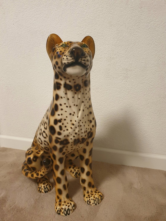 Image 1 of Favaro Checcheto Panther Xxl