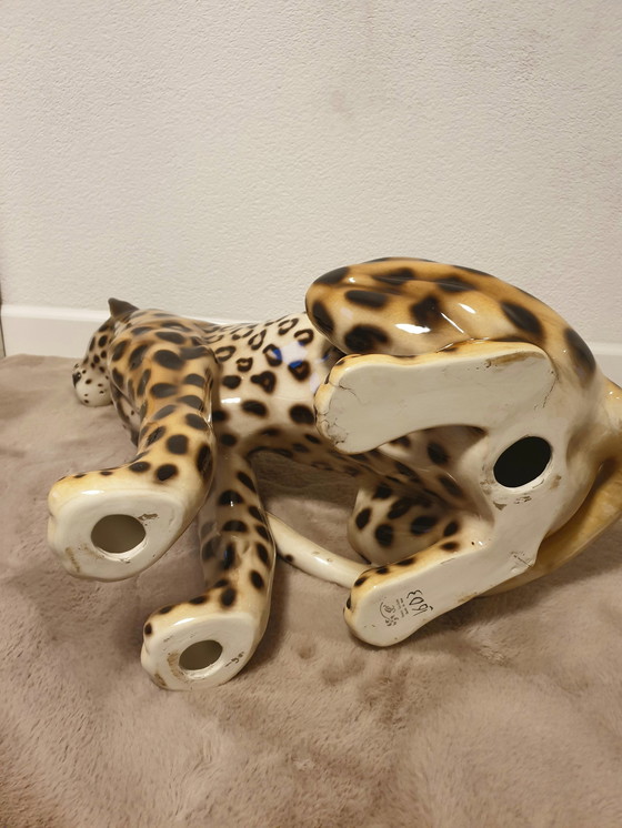 Image 1 of Favaro Checcheto Panther Xxl