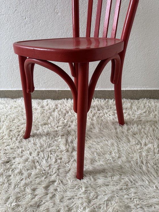 Image 1 of Chaise Bistrot Bois Courbé Années 50 Algérie