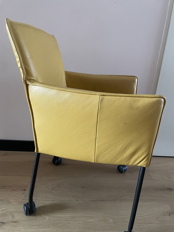 Image 1 of Design On Stock Model Gola Gerard Van Den Berg