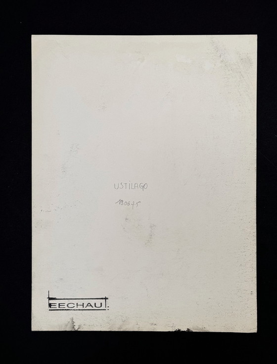 Image 1 of Eugène Eechaut (1928-2019) - Ustilago (1975)