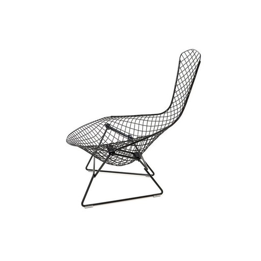 Fauteuil vintage "Bird" par Harry Bertoia pour Knoll International, 1970