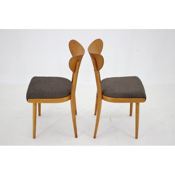 Image 1 of Ensemble de 4 chaises vintage, Tchécoslovaquie 1950