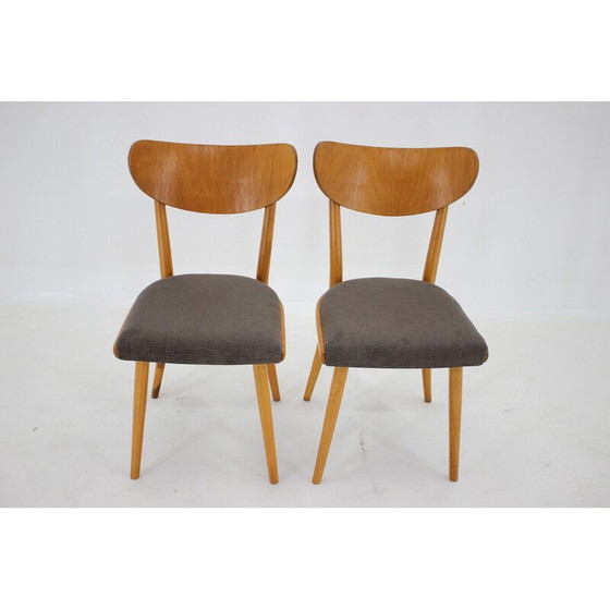 Image 1 of Ensemble de 4 chaises vintage, Tchécoslovaquie 1950