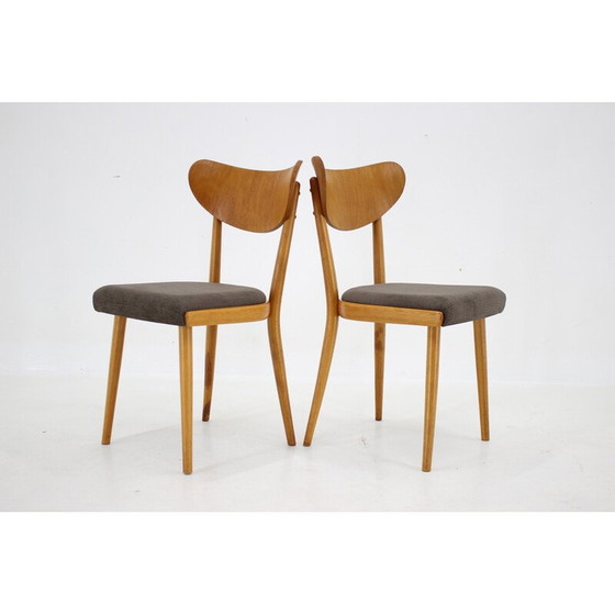 Image 1 of Ensemble de 4 chaises vintage, Tchécoslovaquie 1950