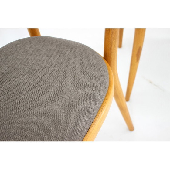Image 1 of Ensemble de 4 chaises vintage, Tchécoslovaquie 1950