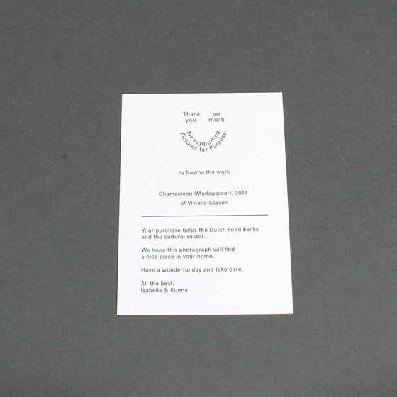 Image 1 of Viviane Sassen (1972) - Chamaeleon (Madagascar) - 2018 - C-Print