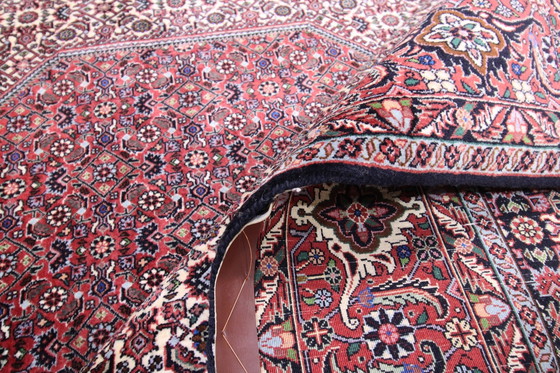 Image 1 of Tapis persan original noué à la main Bidjar Takab Très fin Noué 300 X 205 cm Top condition