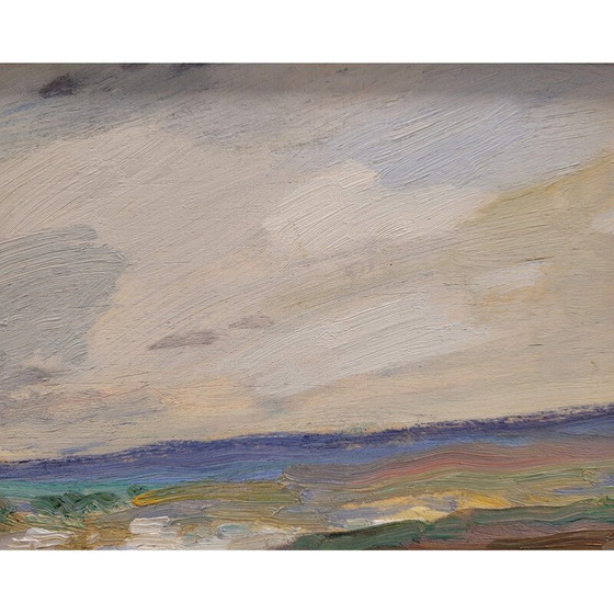 Image 1 of Peinture ancienne "Portrait Paysage côtier calme" par Damián Segarra Codina, 1936