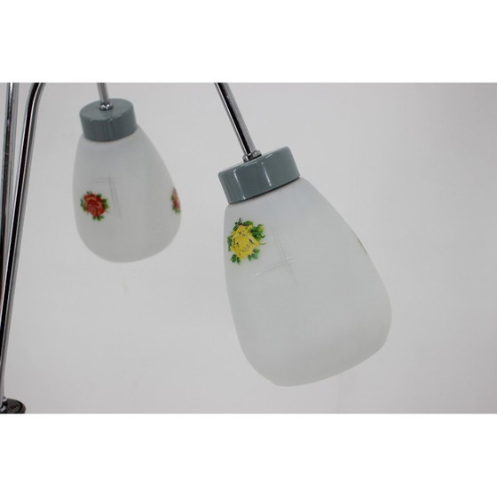 Image 1 of Lampadaire vintage avec abat-jour en verre ,Tchécoslovaquie 1960s