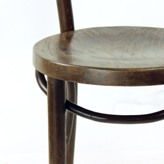 Image 1 of Chaises de bistro vintage en bois de chêne courbé et contreplaqué pour Thonet, Tchécoslovaquie 1940