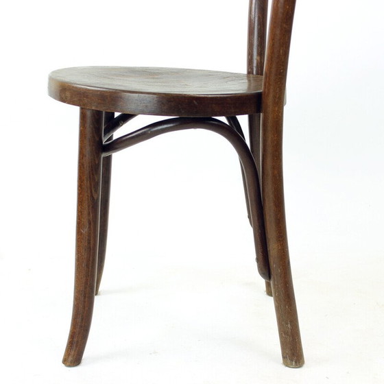 Image 1 of Chaises de bistro vintage en bois de chêne courbé et contreplaqué pour Thonet, Tchécoslovaquie 1940