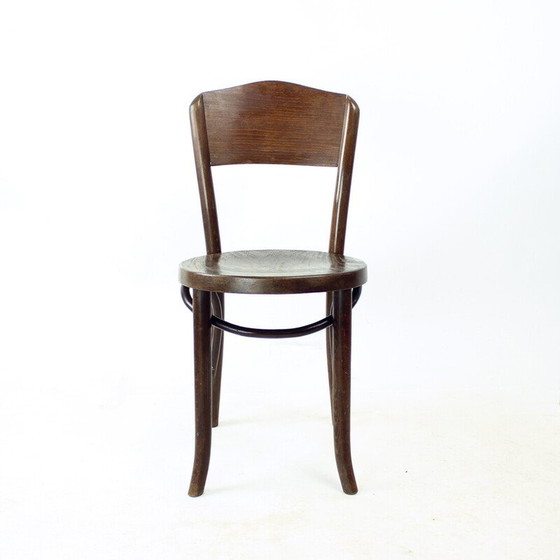 Image 1 of Chaises de bistro vintage en bois de chêne courbé et contreplaqué pour Thonet, Tchécoslovaquie 1940