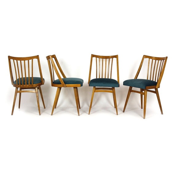 Image 1 of Ensemble de 4 chaises de salle à manger vintage en chêne pour Interier Praha, 1960