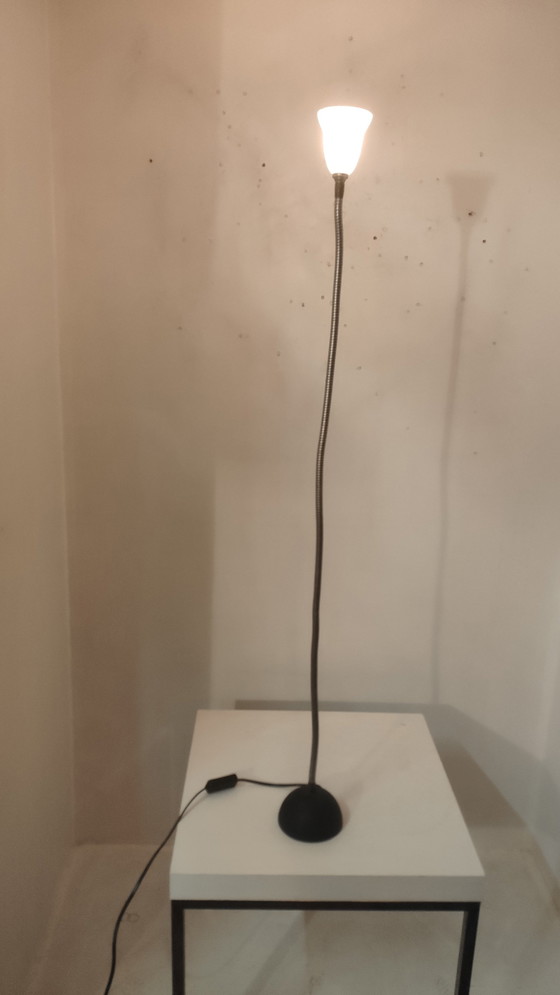 Image 1 of Flèche de feu Rob Nollet