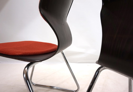 Image 1 of Flötotto Ensemble de 2 chaises Pagwood Par Elmar Flötotto