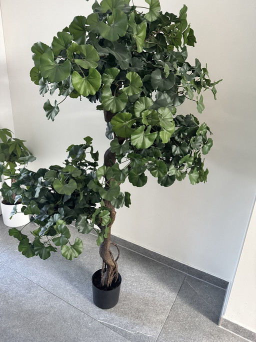 Faux plant de Sweet Gingko sur Crazy