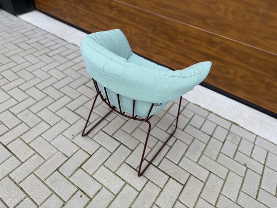 Image 1 of 6 Chaises d'extérieur Vandenberg Duke Label