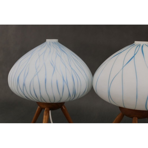 Image 1 of Paire de lampes de table vintage en bois de hêtre et verre pour Uluv, Tchécoslovaquie 1960