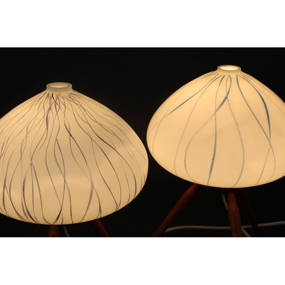 Image 1 of Paire de lampes de table vintage en bois de hêtre et verre pour Uluv, Tchécoslovaquie 1960