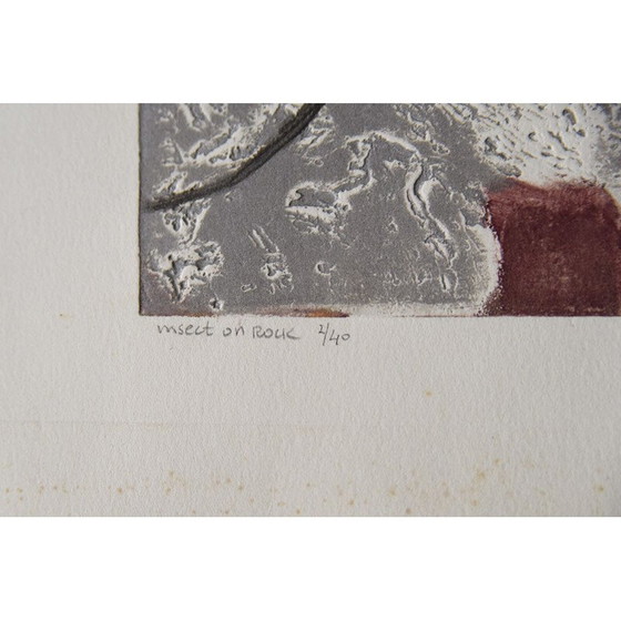 Image 1 of Lithographie vintage "Insect on Rock" de Ru van Rossem, 1962