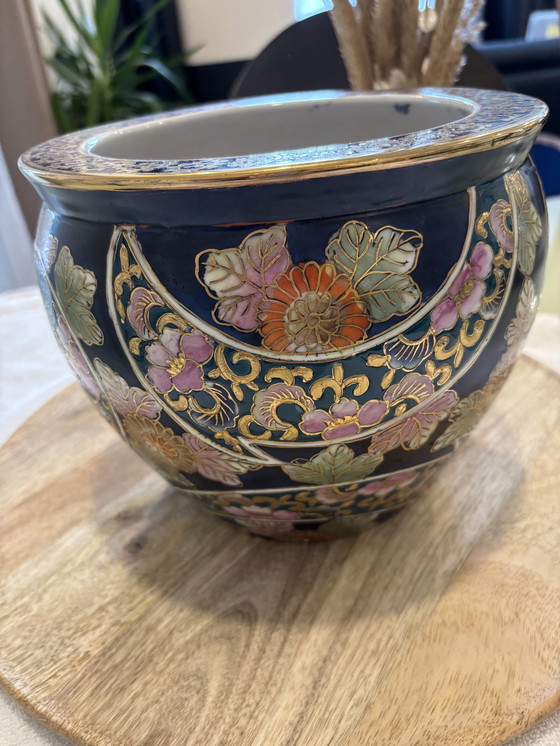 Image 1 of Aquarium Asiatique 