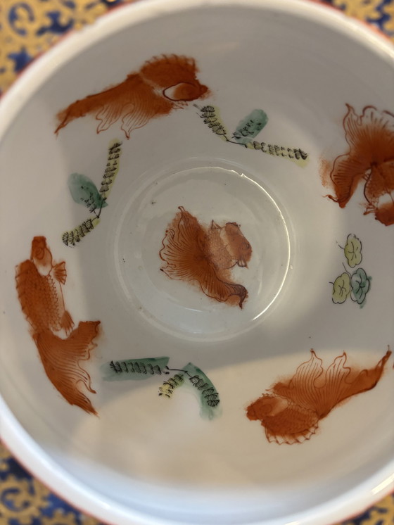 Image 1 of Aquarium Asiatique 