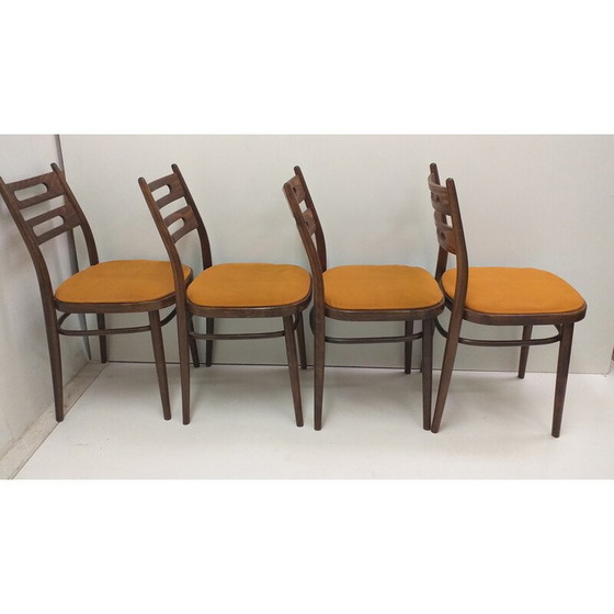Image 1 of Ensemble de 4 chaises en bois par Ton, Tchécoslovaquie 1960