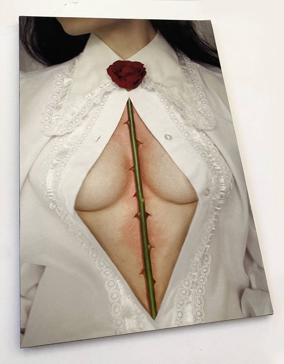 Image 1 of Thorns By Iness Rychlik Fine Art Photo