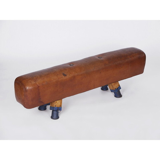 Image 1 of Banc de gymnastique vintage en cuir pour cheval d'arçon, Tchécoslovaquie, années 1930