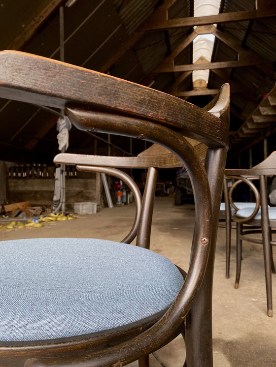 Image 1 of Authentiques chaises Thonet n° 3