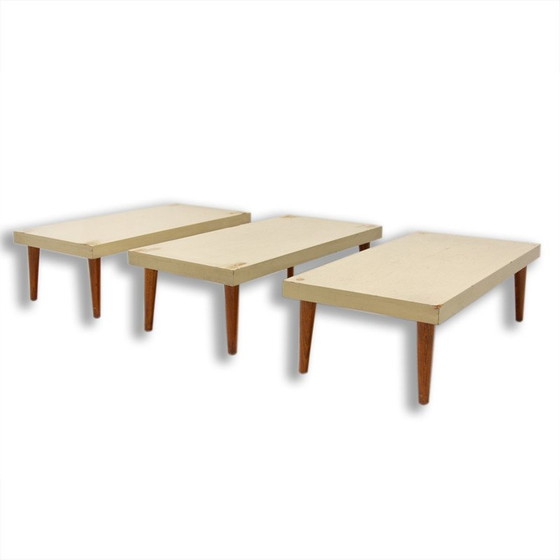 Image 1 of Ensemble de 3 présentoirs à fleurs vintage en bois, Tchécoslovaquie, années 1970