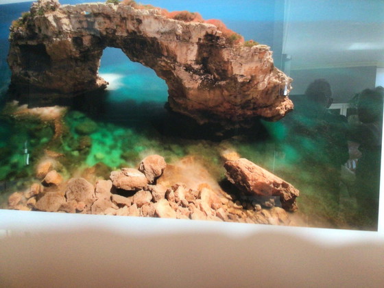 Image 1 of Cobra Art