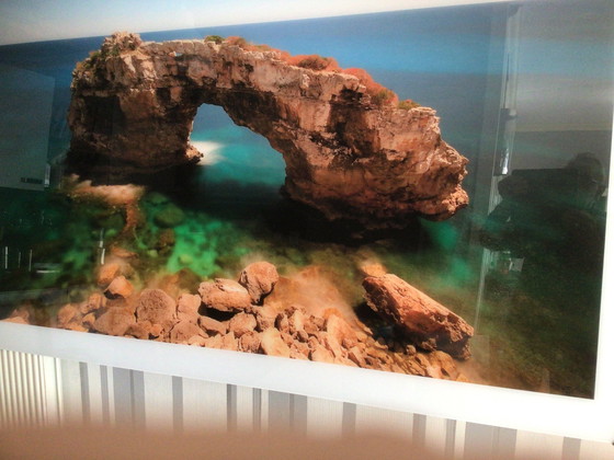 Image 1 of Cobra Art