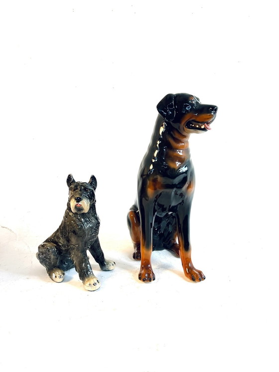 Image 1 of Rottweiler en céramique, Italie, années 60