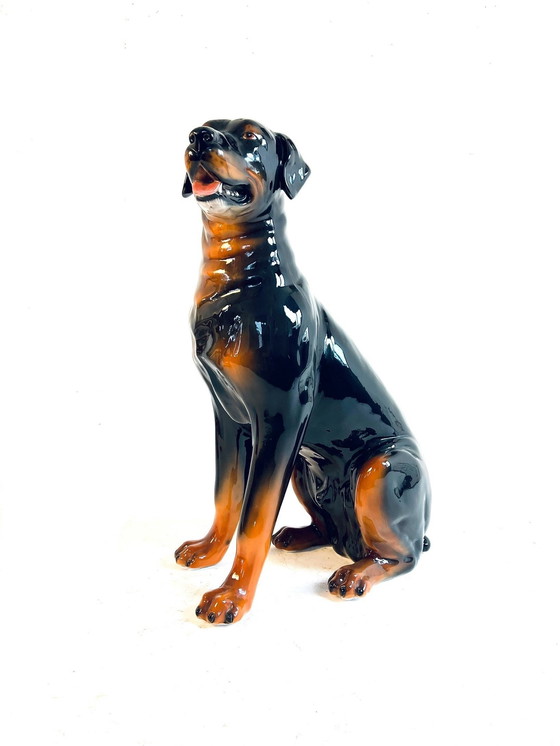 Image 1 of Rottweiler en céramique, Italie, années 60